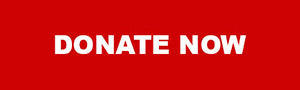 donate now