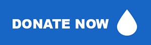 donate now